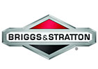 Logo Briggs & Stratton®